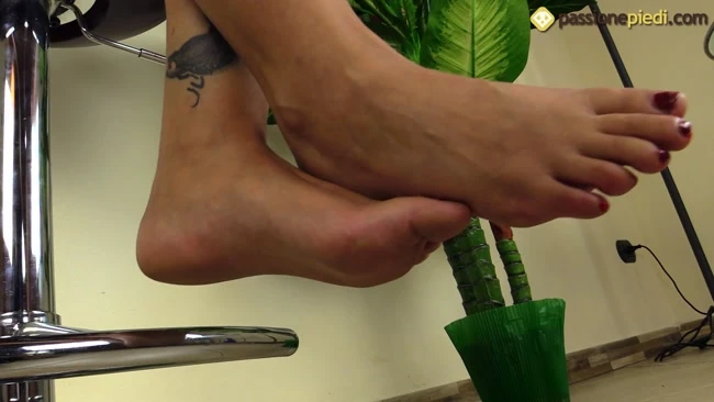 Felisja Piana sgabello Foot Fetish Beauties with Passione Piedi HD [Rare Foot, New Foot] (2023 | Mp4)